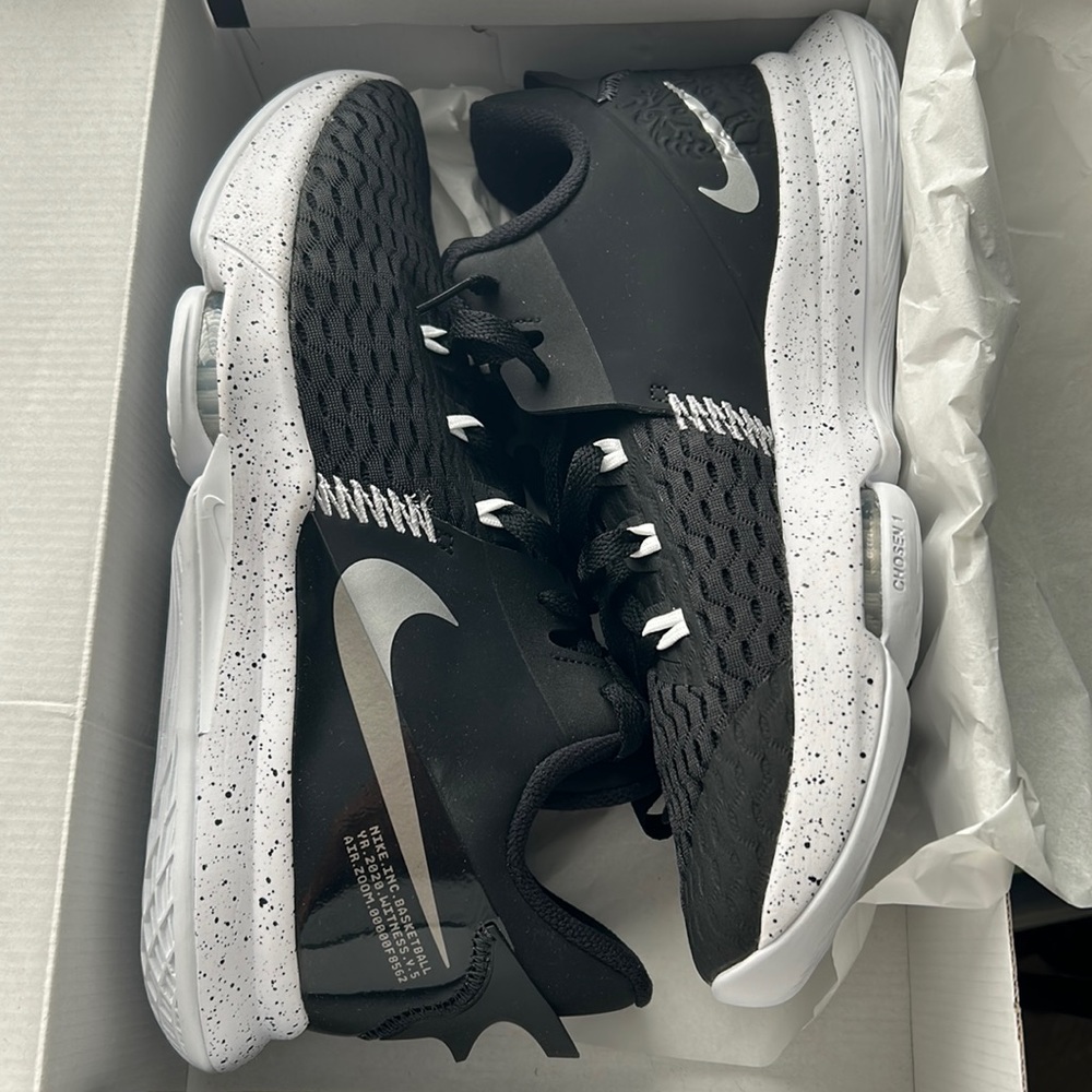 Lebron Witness V